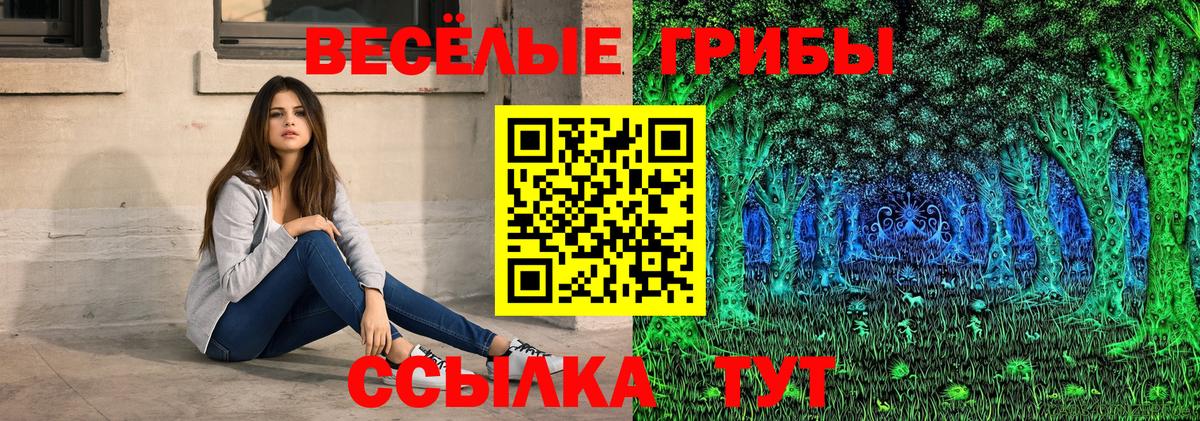 Галлюциногенные грибы Psilocybine cubensis Городец