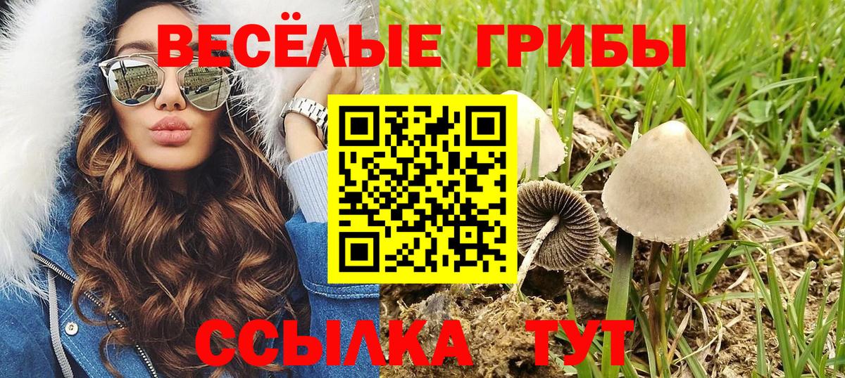 дарнет шоп  Галлюциногенные грибы ЛСД  Вход с VPN  Городец 